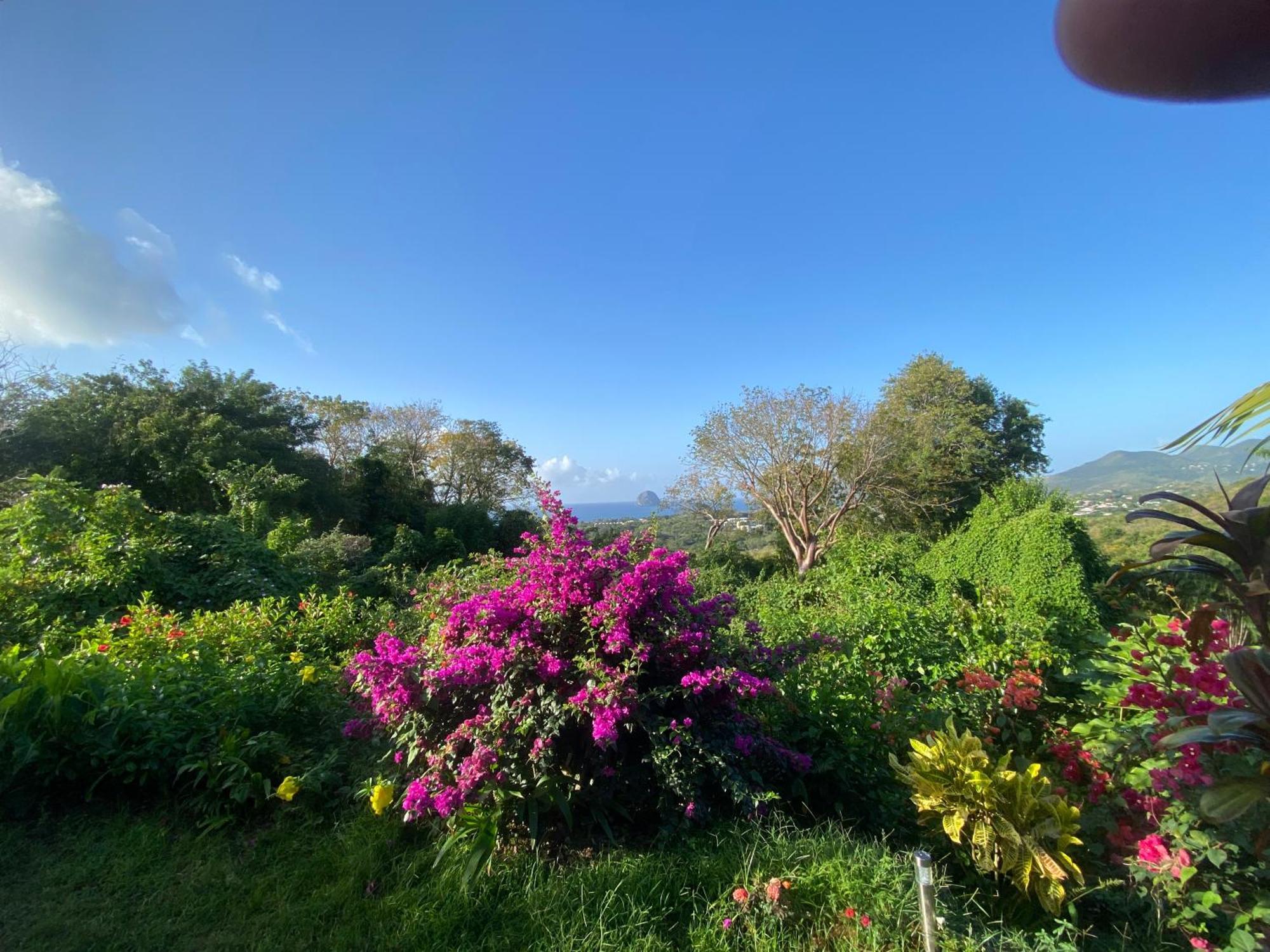 Pavillon Ti Gemme Le Diamant Villa Bagian luar foto